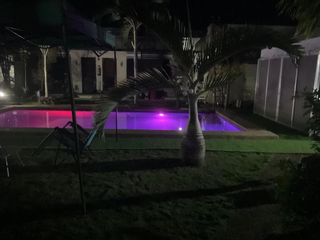 道伊斯Kubo A M&K's Guesthouse的游泳池前的棕榈树