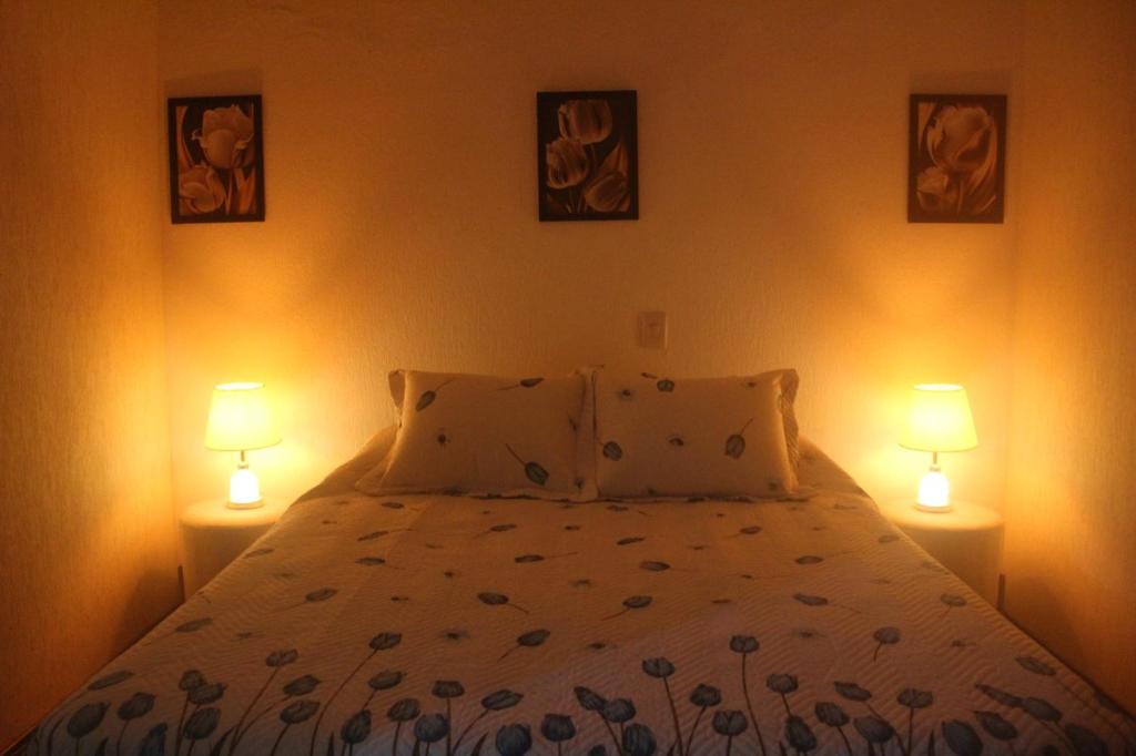 阿瓜斯迪林多亚apartamento águas de lindoia itaigara的一间卧室配有一张带两盏灯的床。