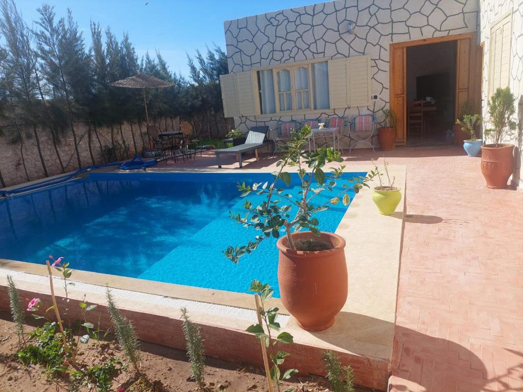 索维拉Villa ahlam的一座房子旁边的游泳池,里面栽有盆子