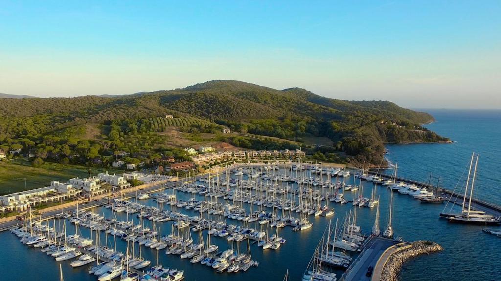 普林托迪斯卡利诺Marina di Scarlino Resort的享有码头的空中景色,有许多船只