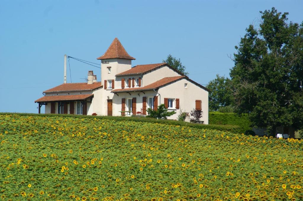卡斯泰尔诺－蒙特拉蒂耶Maison de 4 chambres avec vue sur la ville jacuzzi et jardin clos a Castelnau Montratier的一座花田的山顶房子
