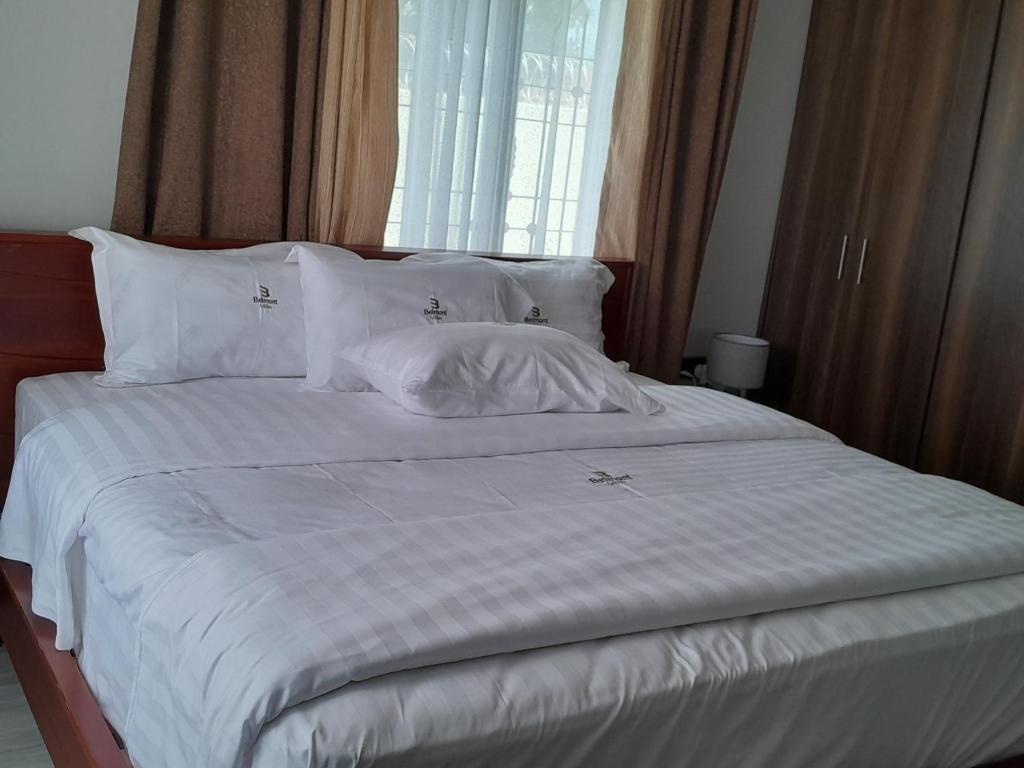MbaleBelmont Villas Mbale的一张带白色床单和枕头的床以及窗户
