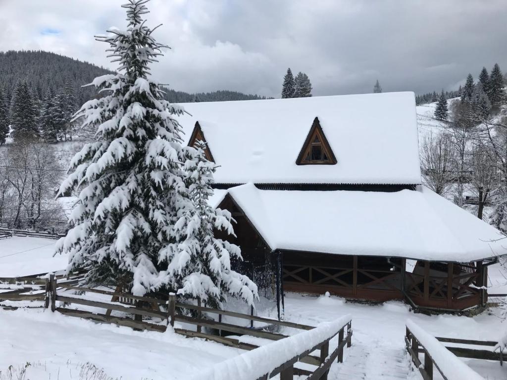 亚布卢尼齐亚Trembita的雪覆盖的小屋,配有圣诞树