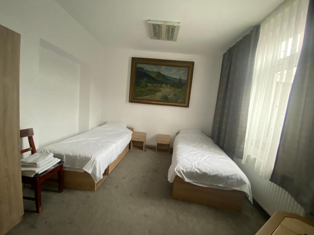 蒂米什瓦拉Twin Cloud Pădurea Verde的一间设有两张床的客房,墙上挂着一张照片