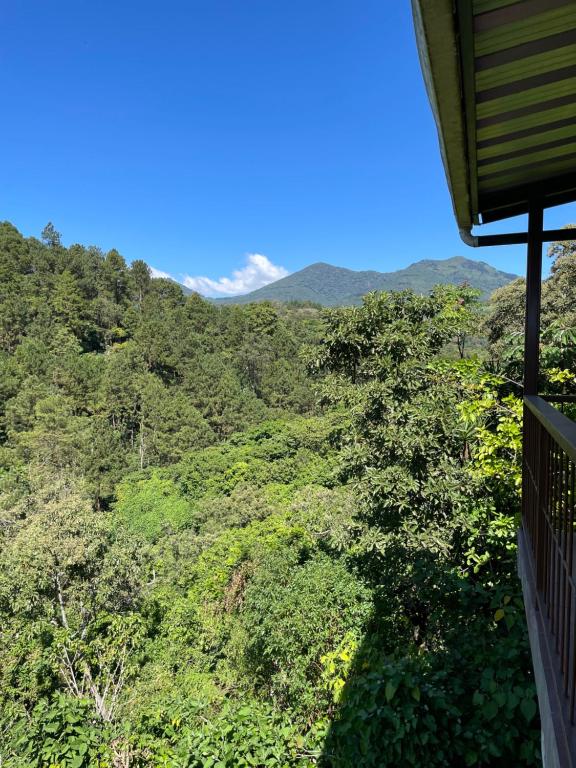 山景或在木屋看到的山景