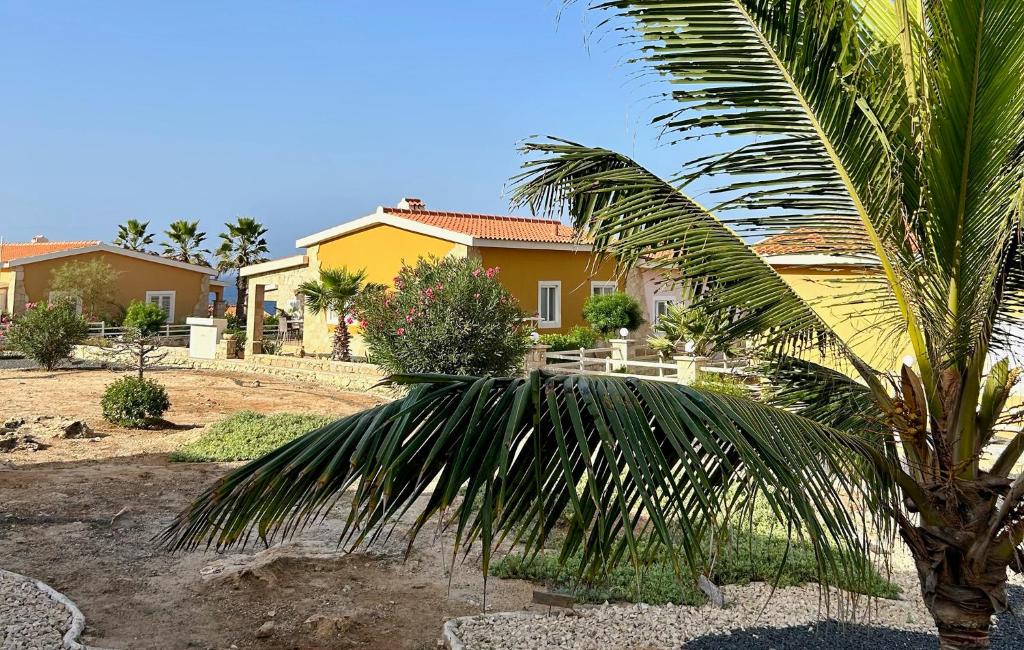 Calheta Do MaioPalombella - Stella Maris Exclusive的房屋前的棕榈树