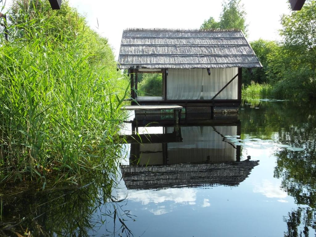 凯卡瓦自治市桑给巴尔露营旅馆的水边的小建筑,靠近草