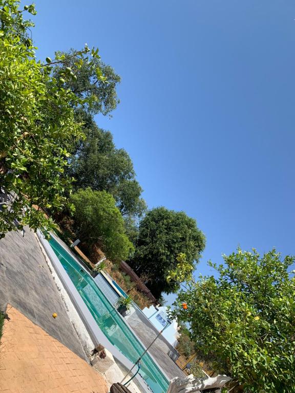 皮拉斯Casa los Laureles的游泳池边种有树木