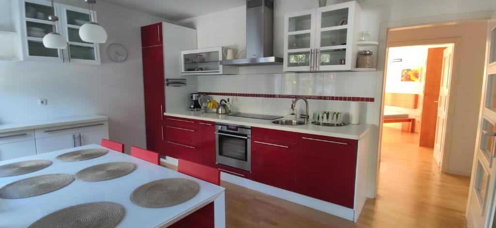 杜塞尔多夫Exceptional short-term rental的厨房配有红色橱柜和白色台面