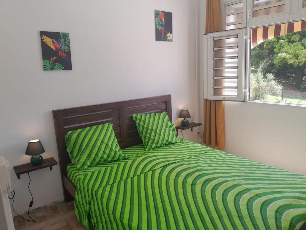 Rivière-SaléeKami lodge f3 jacuzzi的一间卧室配有一张带绿色床单的床和一扇窗户。