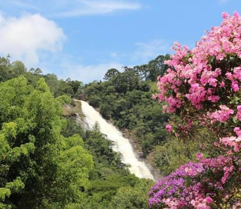 若阿诺波利斯Recanto do Sol的一条在森林中带粉红色花的河流