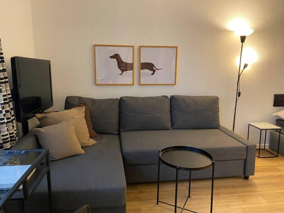 汉诺威Möblierte Wohnung Hannover List的客厅配有灰色沙发和两幅狗的照片