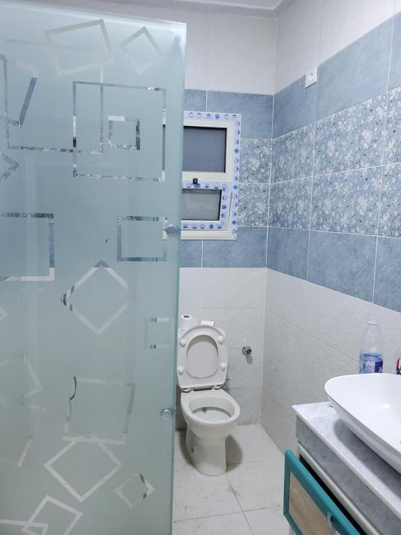 卢克索Cosy appartment in city的一间带卫生间和水槽的浴室