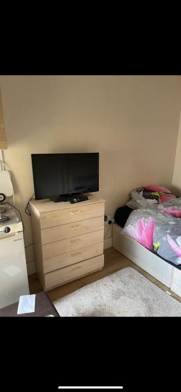 Enfield LockBeautiful Studio flat的一间卧室设有平面电视和一张床。