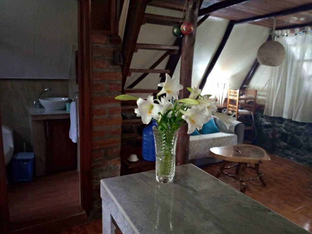 巴尼奥斯The lookout Hideaway cabin的花瓶,上面有白色的花朵