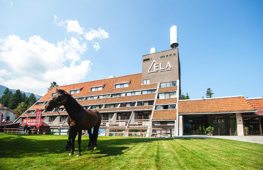 波罗维茨"Park Hotel Ela"的站在建筑物前面的草上马