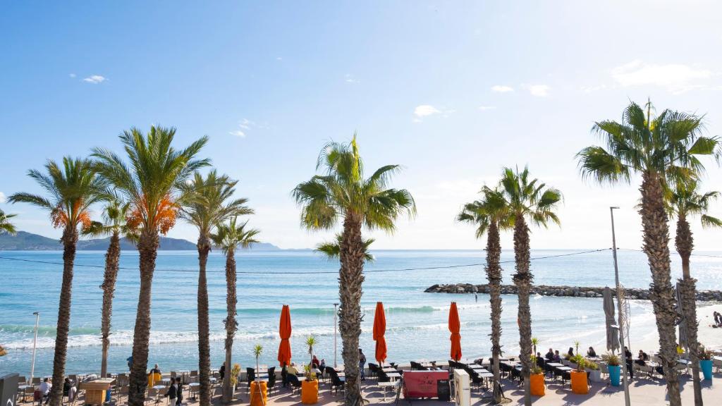 拉西约塔Hotel La Ciotat - A deux pas de l'eau的棕榈树海滩和海洋