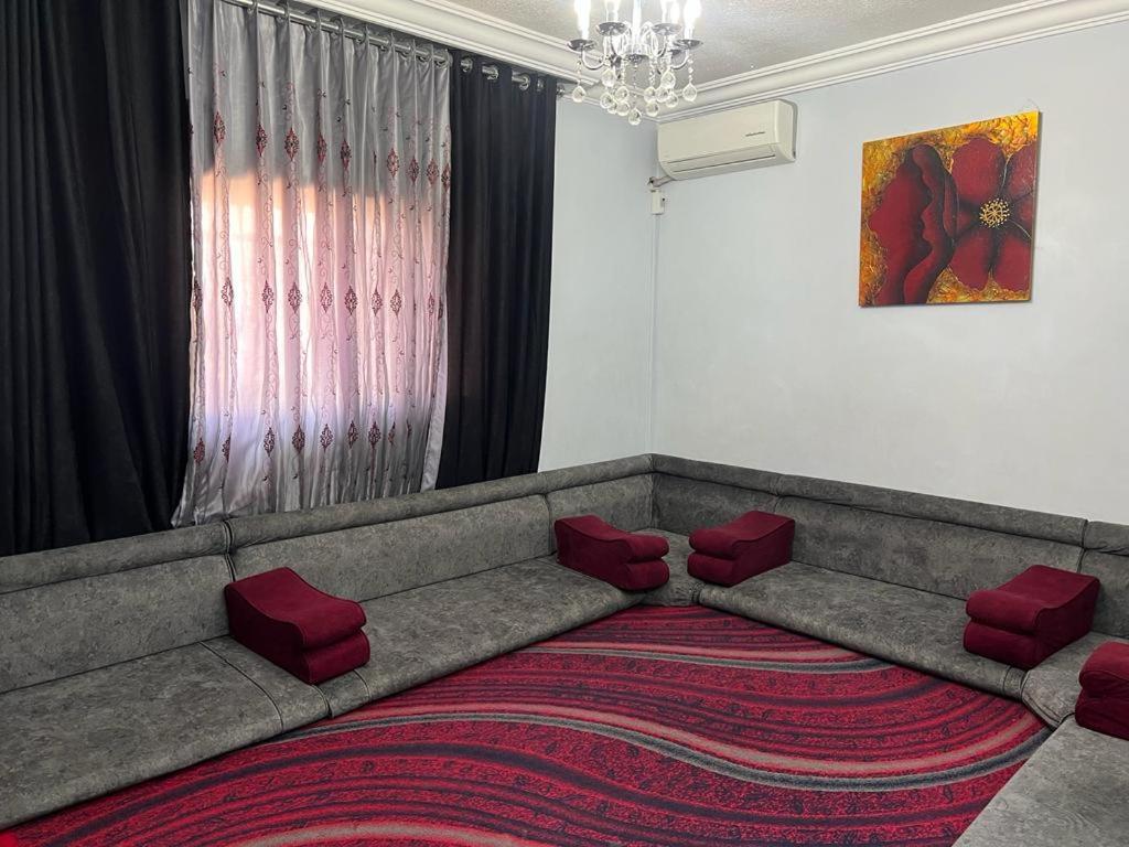 伊尔比德Jad apartment的客厅配有带红色靠垫的大沙发