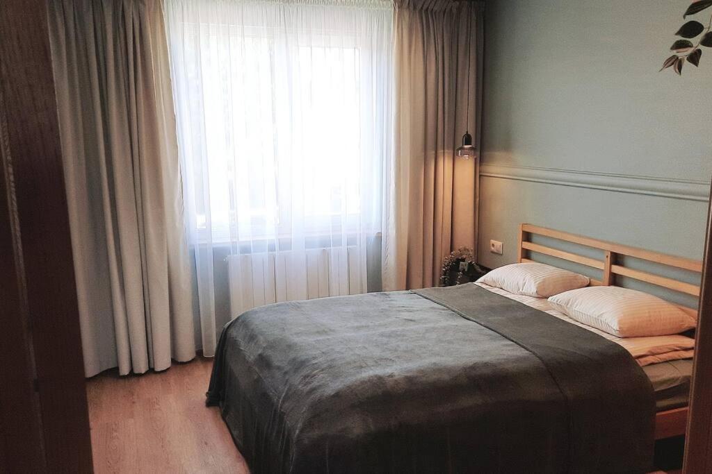 马多纳Fukša Saules dzīvoklis的卧室在窗户前配有一张床