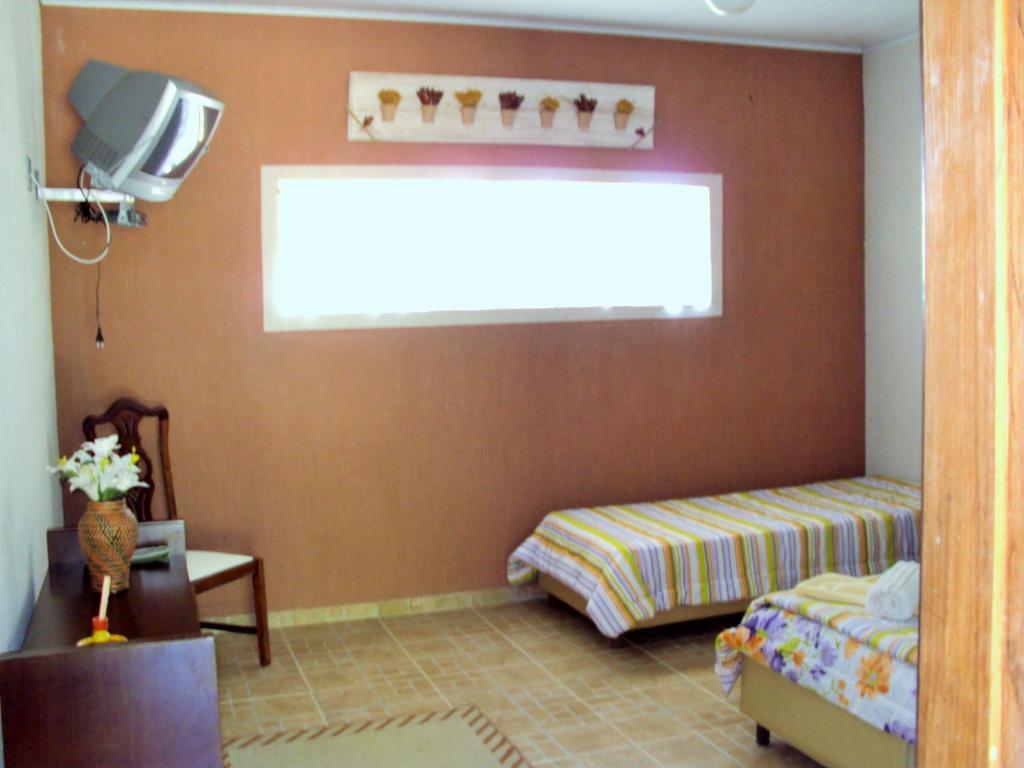 PapucaiaHotel Fazenda Terra Ramos的一间卧室设有一张床、一台电视和一个窗口。