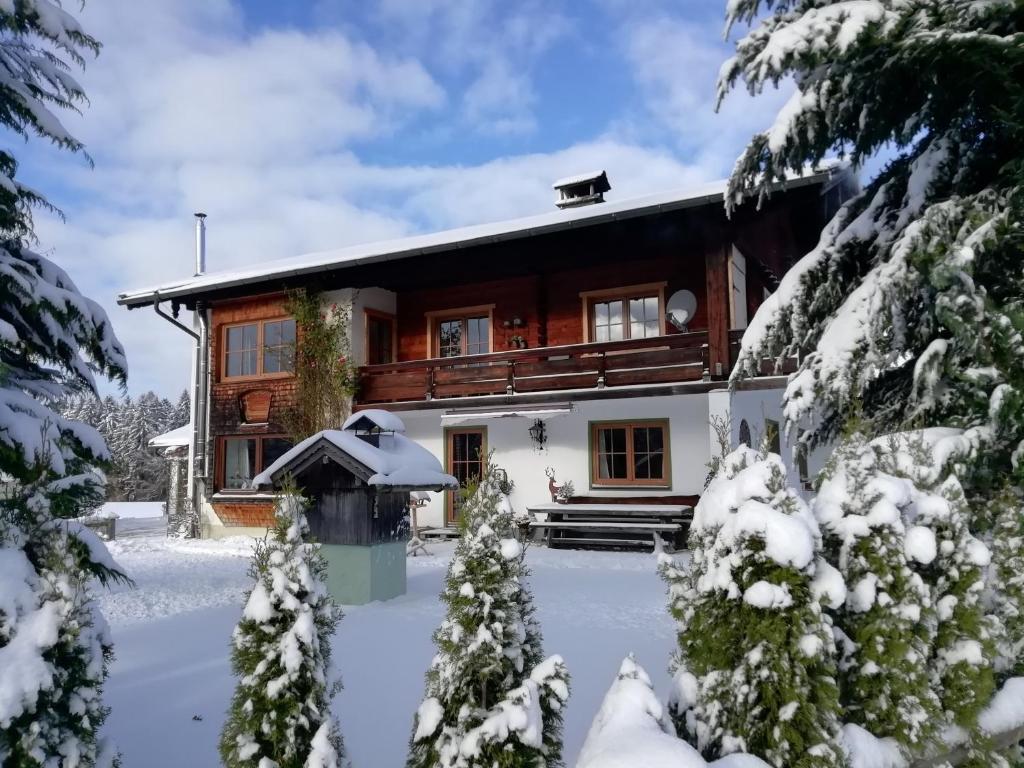 希格斯多夫Ferienwohnung zum Gimpei的雪中的房子,有雪覆盖的树木