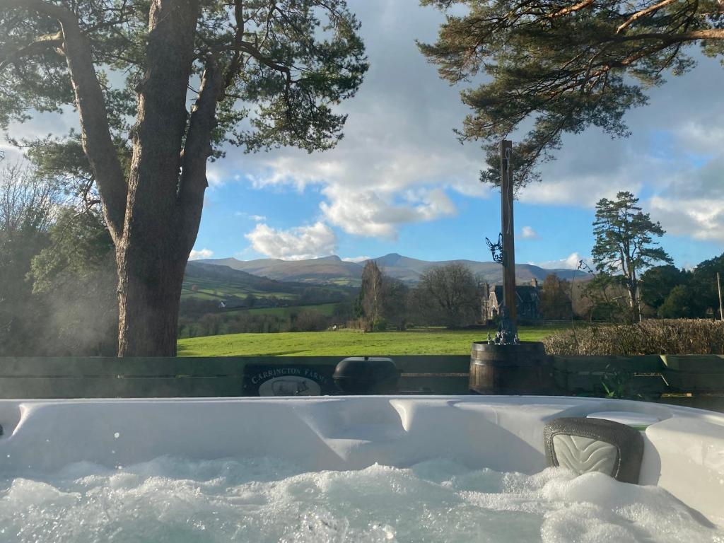 LlanhamlachMountain View Cottage, Hot Tub , Stunning Views的享有树景的浴缸