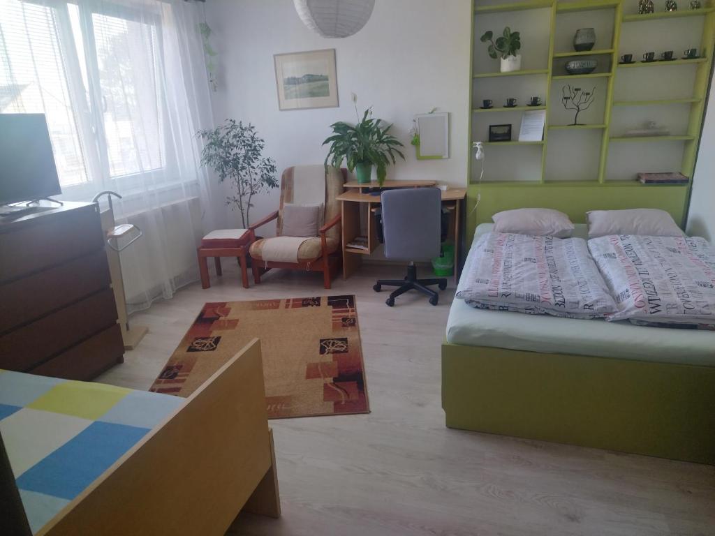 哈夫利奇库夫布罗德Soukromé pokoje的一间卧室配有一张床、一张桌子和一把椅子