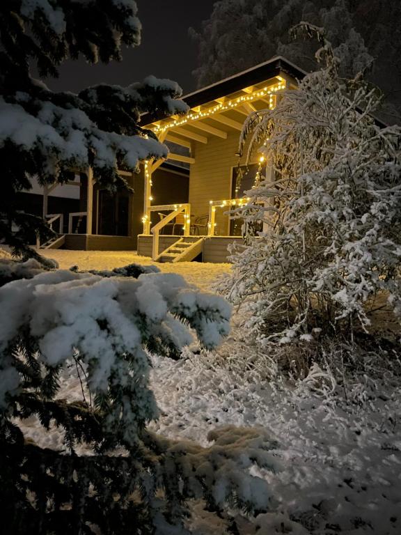 普日维兹Las i woda的雪中带圣诞灯的房子