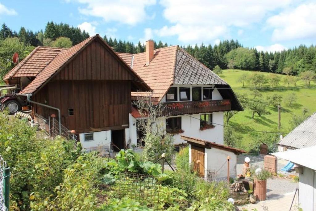 木楞巴赫Ferien auf der Fleischdielte的山坡上带木屋顶的房子