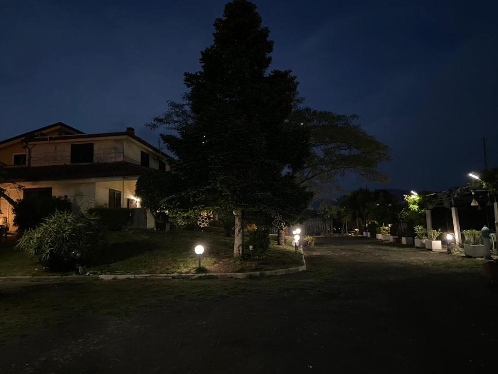 Montecorvino PuglianoAl Rifugio的夜晚在房子前面的树