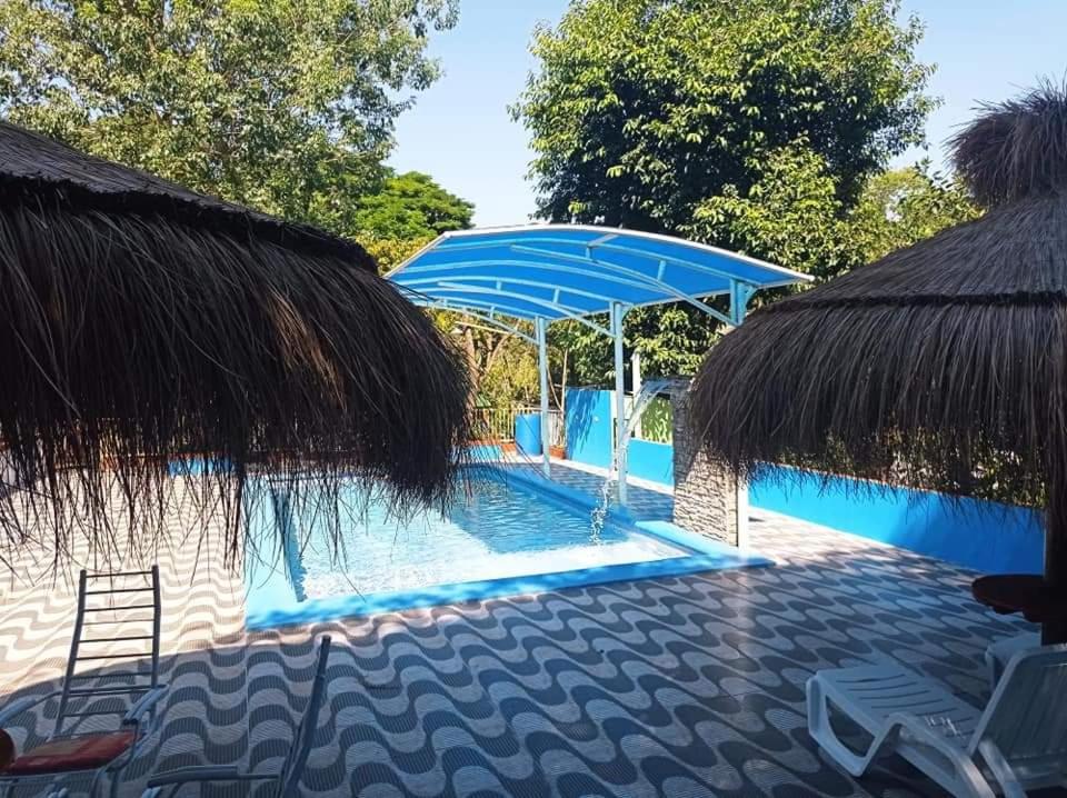 埃斯特城Cabaña del lago的一个带茅草伞的游泳池和一个游泳池