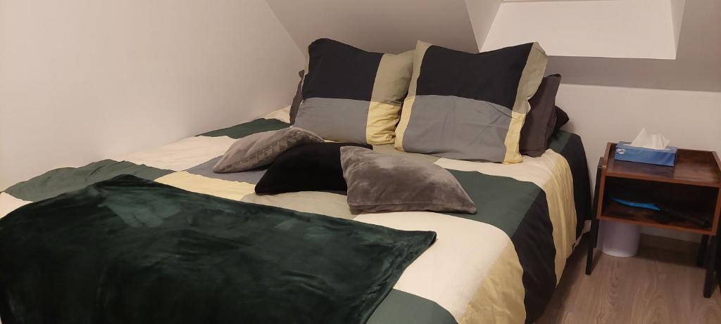 萨韦奈Studio duplex à Savenay的一张床上的枕头