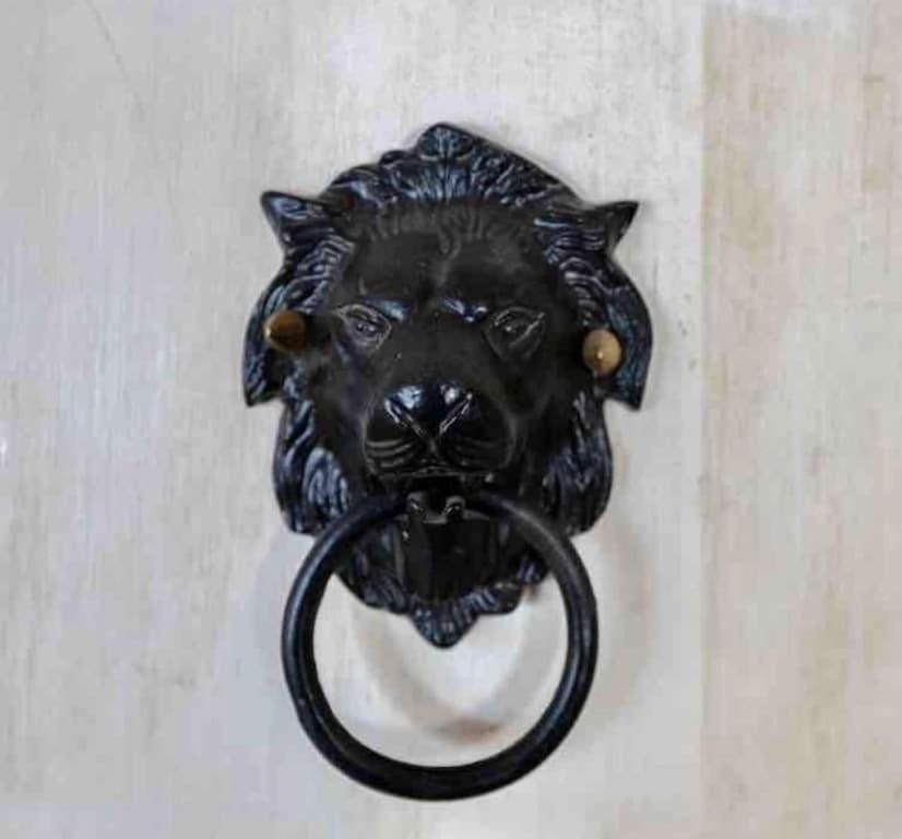 蒙特利尔Exclusive 6 bed, 6 bath residence in Old Montreal的口中带有戒指的黑色狮子面具