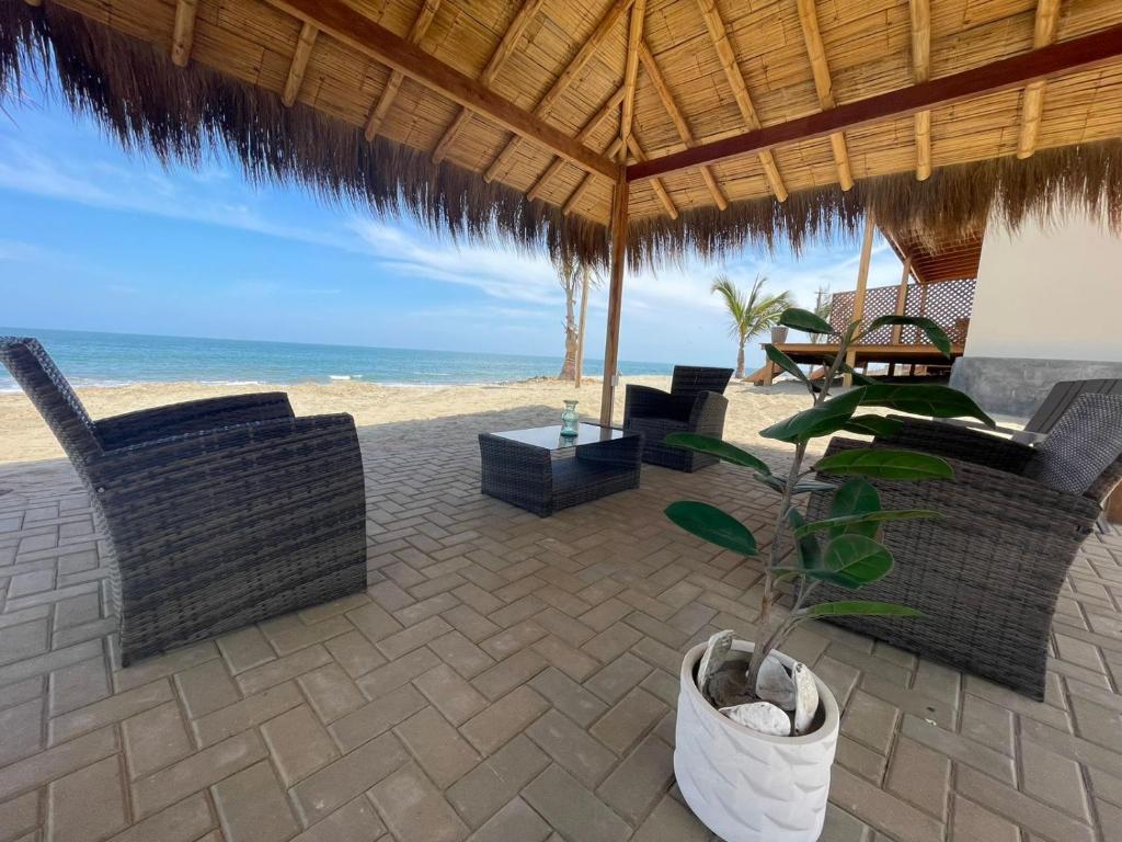 卡诺阿斯德蓬萨尔Hotel Gran Azul Bungalows的海滩上带椅子和盆栽植物的天井