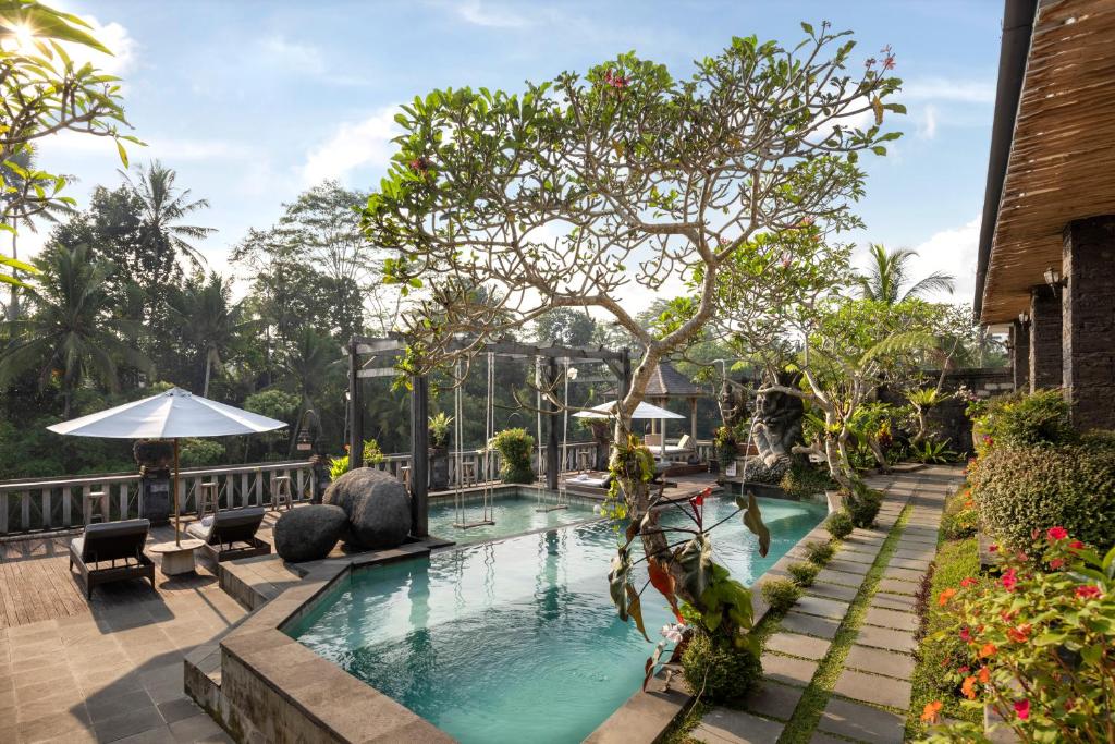 德格拉朗Kawi Resort A Pramana Experience的树上的度假村的游泳池