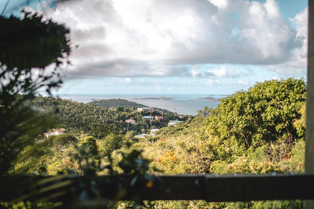 BethanyCruz Bay Tropical Condo的从树木茂密的山丘上欣赏海景