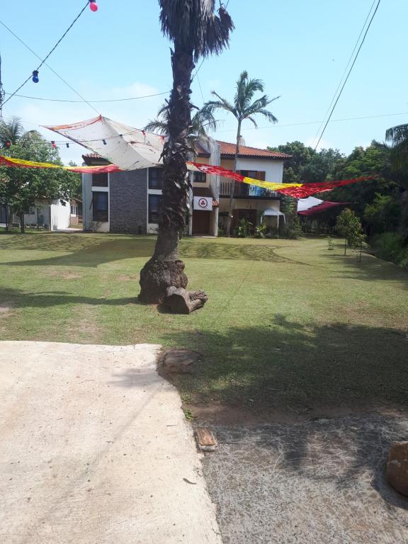 容迪亚伊Terapias integrativas do Sandrin的一座带建筑物的院子中的棕榈树