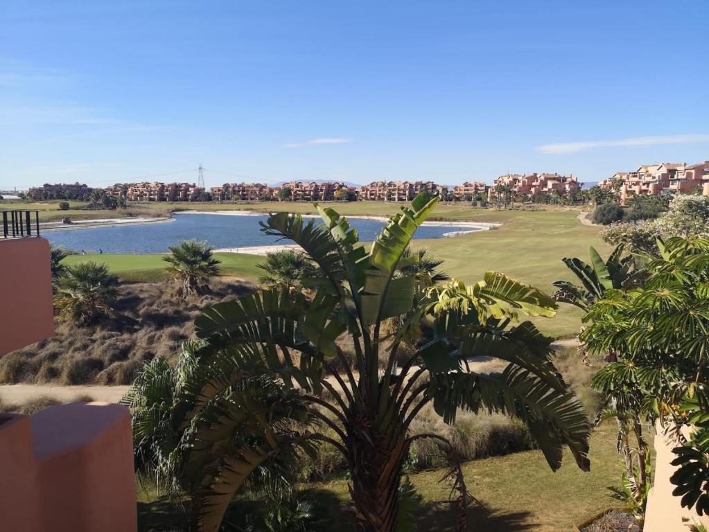 托雷帕切科Lakeview Residence 'Casa Naranjas' Mar Menor Golf and Leisure Resort的享有一个棕榈树高尔夫球场的景色