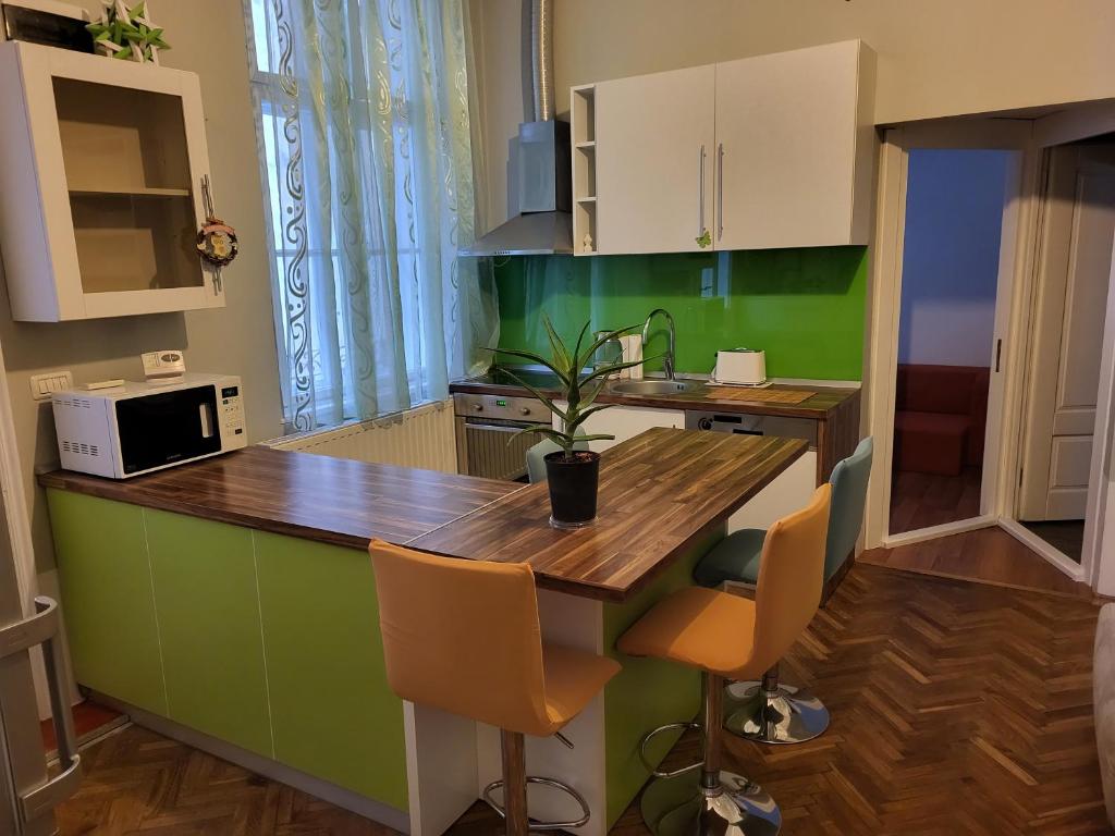 阿拉德Condor的厨房设有木桌和绿色的墙壁。