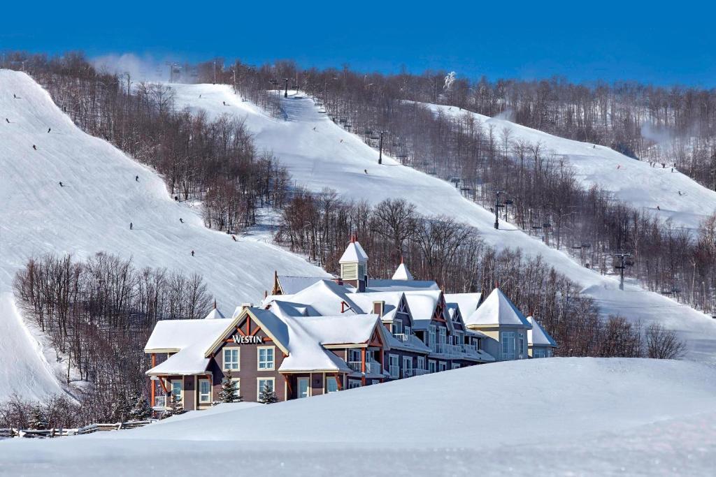 蓝山蓝山延龄大厦威斯汀酒店的雪覆盖的山丘上的房子