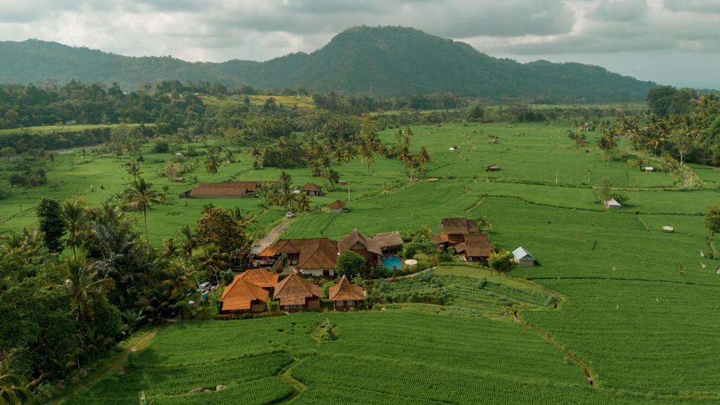 SilebengKubu Sakian Villa的绿色田野中村庄的空中景观