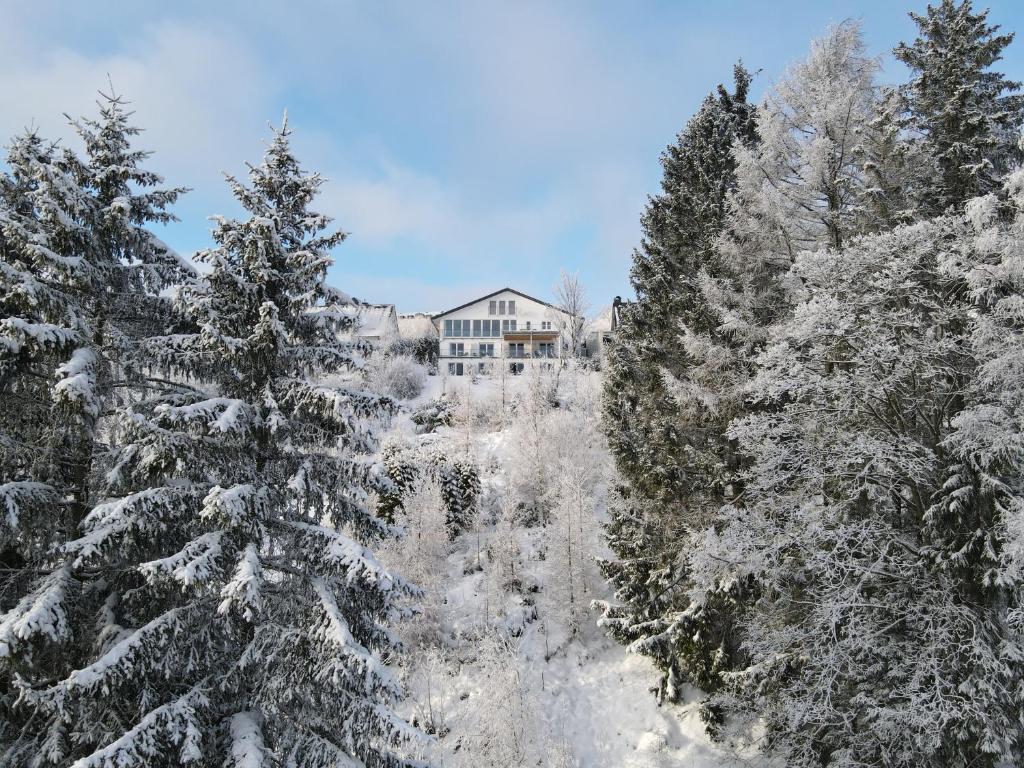 温特贝格费瑞池特兰德酒店的一座房子被雪覆盖的树木所看见