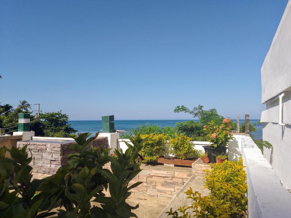 圣玛尔塔Cabaña Salguero的阳台以植物和海洋为背景