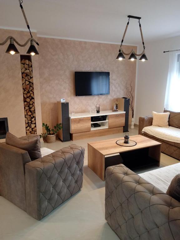 弗尔沙茨Apartman SARA的带沙发和电视的客厅