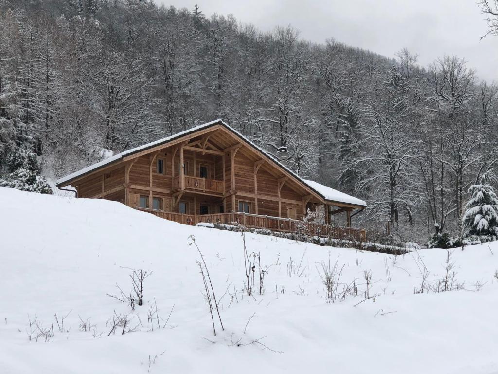 圣莫里斯堡Chalet savoyard d'exception avec piscine chauffée的雪中树下的小木屋