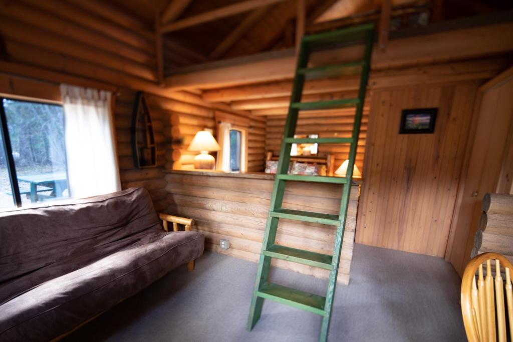 比格福克Experience Montana Cabins - Wildflower #3的沙发间的绿色梯子