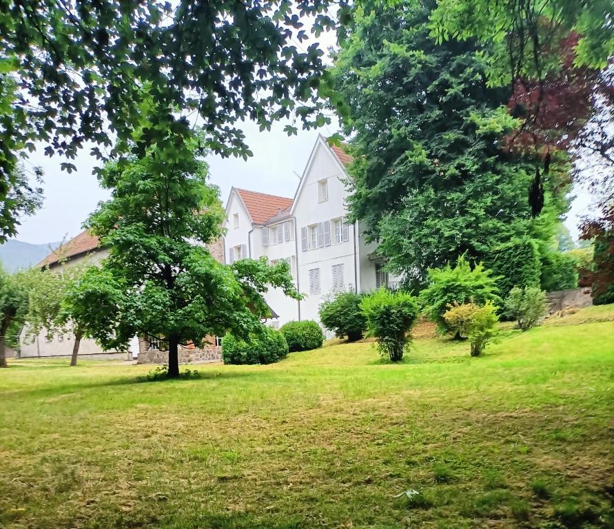摩泽尔河畔圣莫里斯Domaine de la Moselle的一座大白色房子,前方有树木