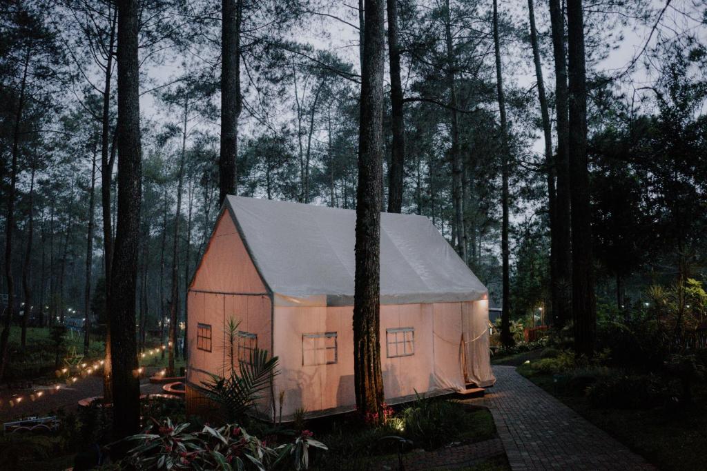 TangkubanperahuLuxury Deck Cabin的森林中间的小房子
