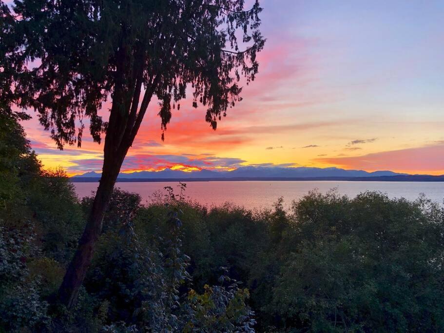 西雅图Romantic Spacious Suite with Salish Sea & Mountain Views at Seattle Luxury Estate的树上一排日落