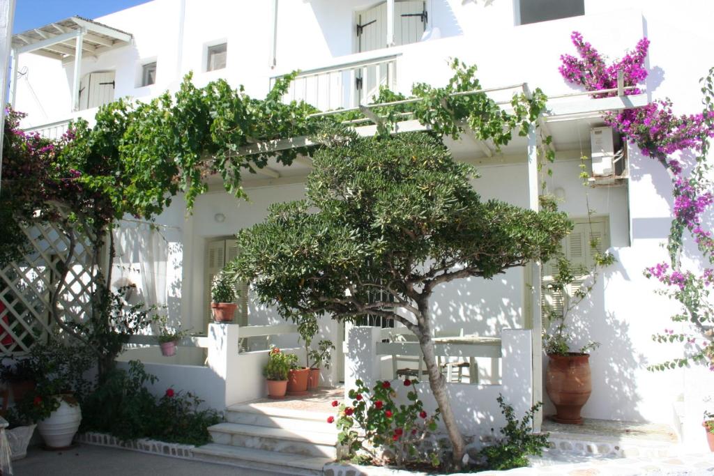 安迪帕罗斯岛Korali Hotel的楼梯上花卉的白色房子
